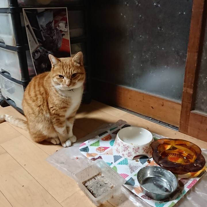 131a726c 4901 497d a766 d602a18bbd6b 1608669381230