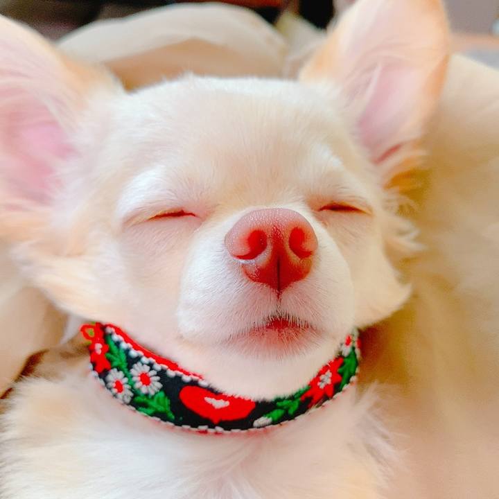 131a7406 a03b 491c a527 f91fec654db9 1629884999434