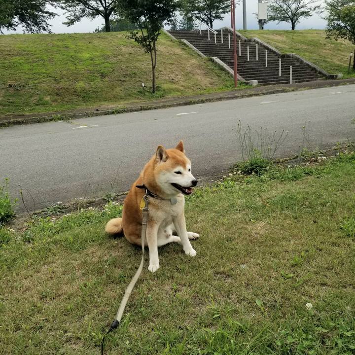 131a8ba8 a329 496c b0b9 45b9b53ea52f 1624343869278