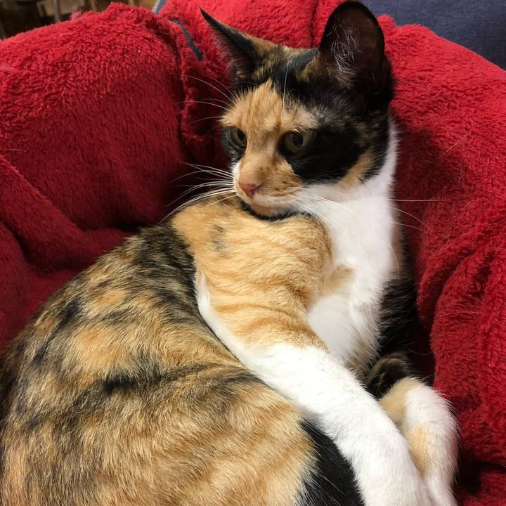 131aa358 7b71 481a 9d4a 924c6d42f39d 1526561966601