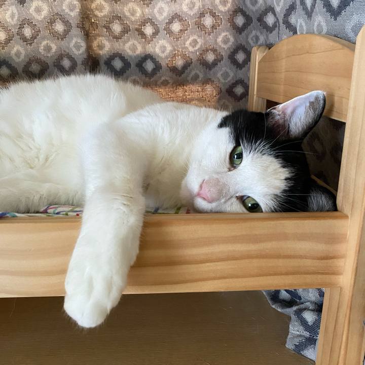 131b1a2d 09b8 4e07 836b 21948e2e044e 1659242312177