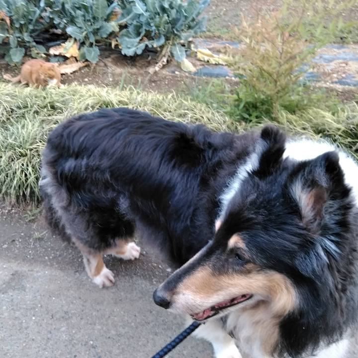 131b25cc 8d44 41bb ac2a 6e26ec5ae3d3 1561724572645