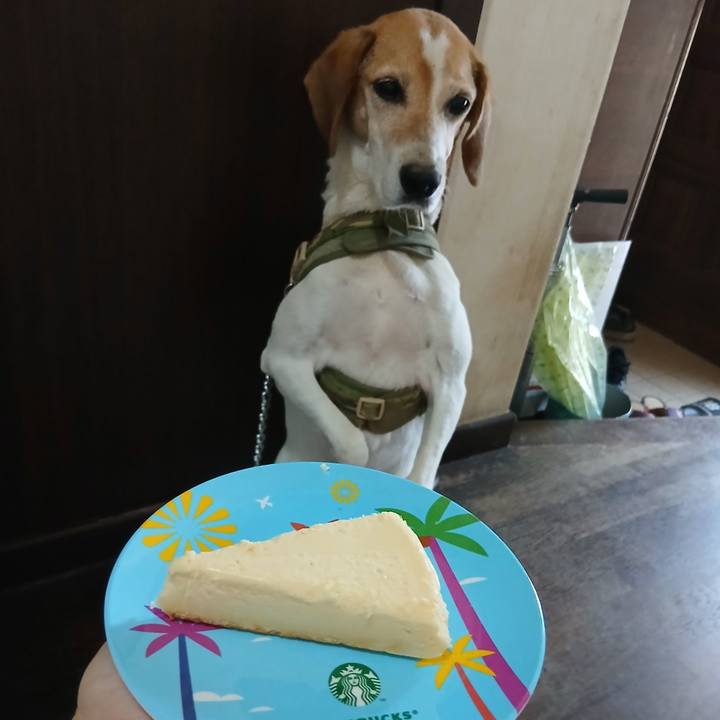 131b3886 927a 4f12 b9d5 4f31d8dce9b1 1751869376590