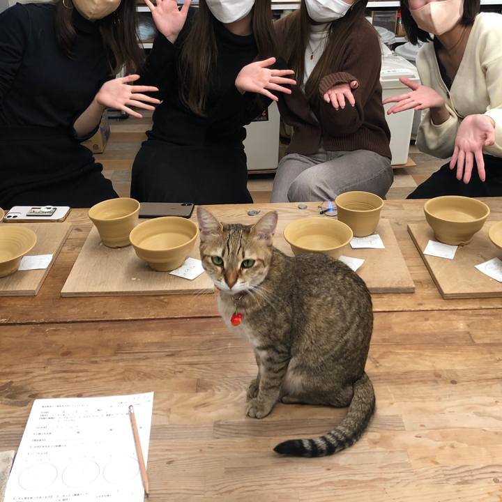 131b39de e32d 4c5c 8f95 606b4352288e 1637652845750