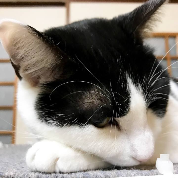 131b49ea 1ebd 413f 9b31 9f01d9a7ae5c 1518825895045