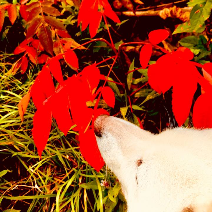 131b9145 fd41 49e5 a037 1013b5681b4c 1634367509725