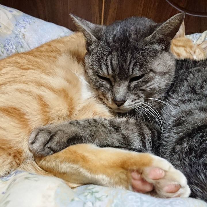 131b9578 767b 4e1c 9544 aa55ef27f600 1582548910300