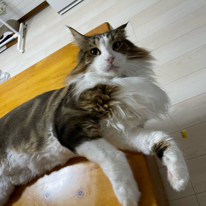 131bba53 fd19 4f75 a047 b5396a2bffa0 1689622530889