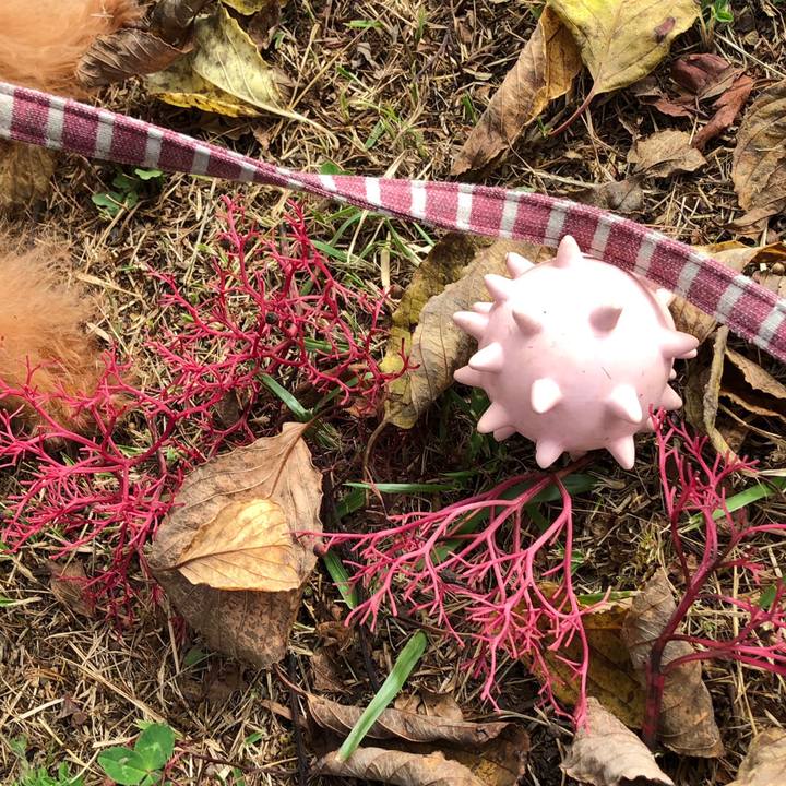 131bfd3a b996 48e6 a873 2aa3dddc08e6 1541942657686