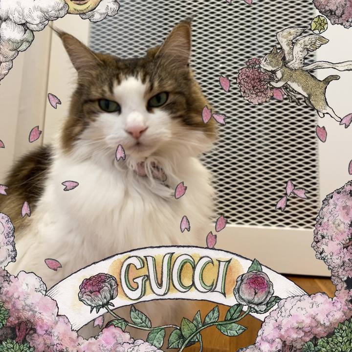 131c0bed bedd 417e a346 61df6fba580d 1678263892088