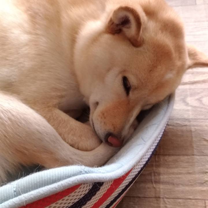 131c5939 ac0e 490f ac8b d4cca11219d0 1570417220661