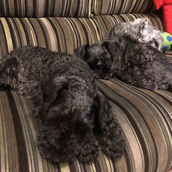 131c62dd fdb2 4270 b2c9 bc3d731421ef 1560076850939