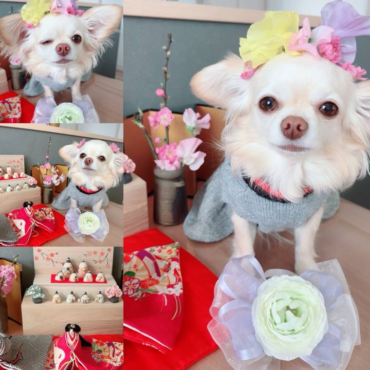 131c72de be4d 4421 8808 5a121d0f24e4 1709471863339