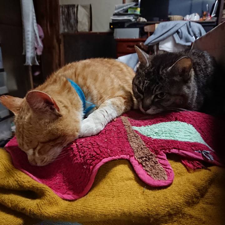 131c9502 957b 4578 9116 b846bbeaf545 1556137738105