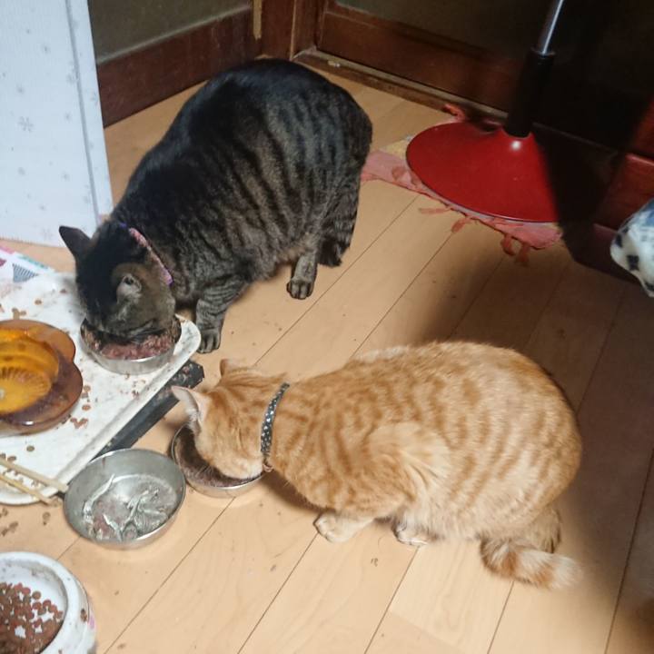 131ca54f d12c 4ca7 94cc 64d5ee1501b7 1647378146960