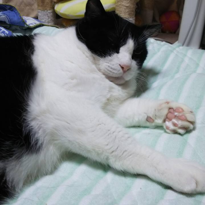 131ca6ab c2a1 4fa1 87f6 9f87142e622c 1534804300387