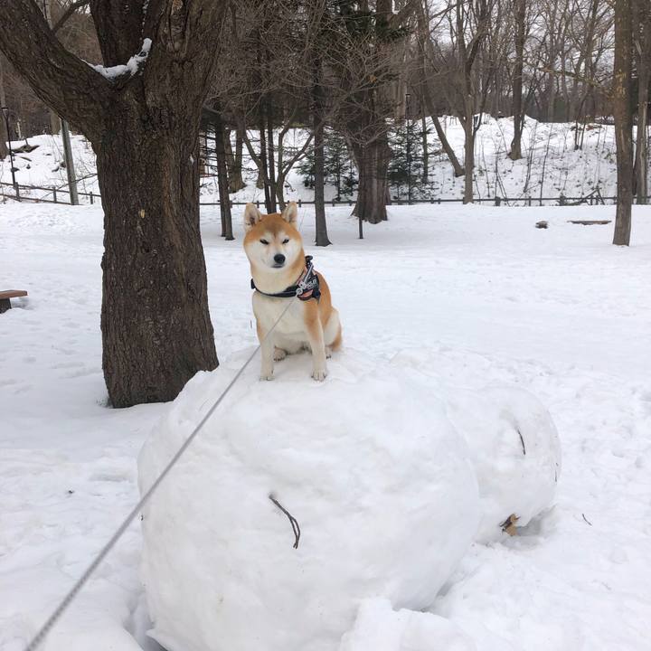 131cb7cb 8198 4ee1 b43e d24f01f7e4c6 1580707349591