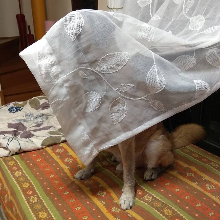 131cf256 48b1 4790 a7b1 84408faeeba1 1569416716294