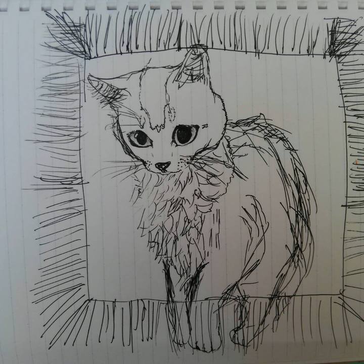 131cf3d7 fd3e 417b a574 88755879a406 1569420056372