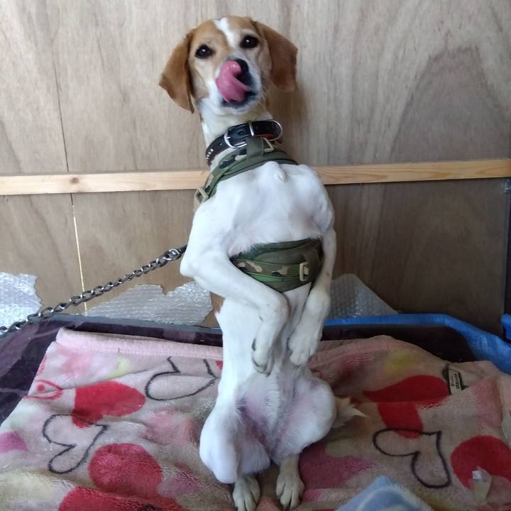 131d40e5 a4b9 48c7 bbb9 77f3a944d193 1681642535808