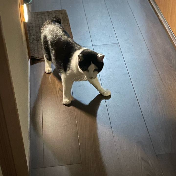 131d5f55 fe10 45b2 9b72 1ad112f67418 1745334771206