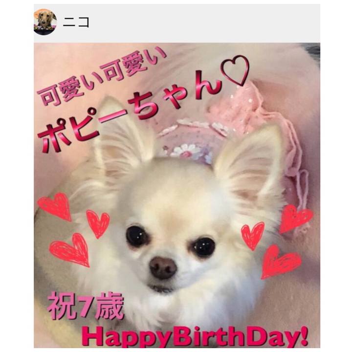 131dd6dc c77d 4320 990d 3ea4a30eab42 1537884078595