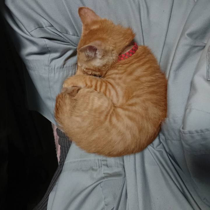 131deb52 59f7 4103 bd9d f4b279f7f101 1630487981971