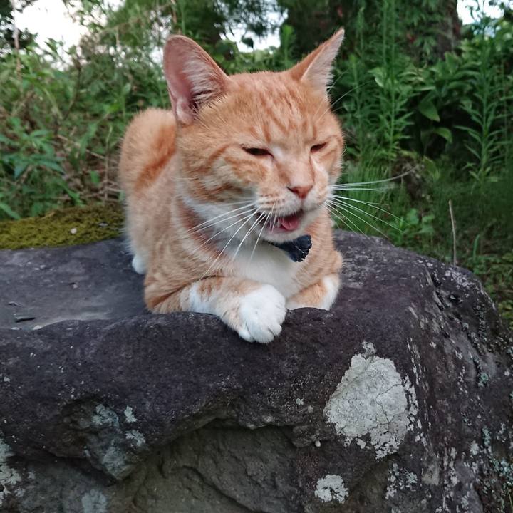 131df0b8 4fd3 4386 bdec 0153b7ff4cb2 1566034989279