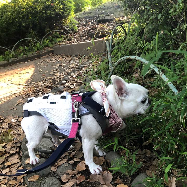 131e1f81 285b 4185 a1a5 881217a14c29 1623199063462