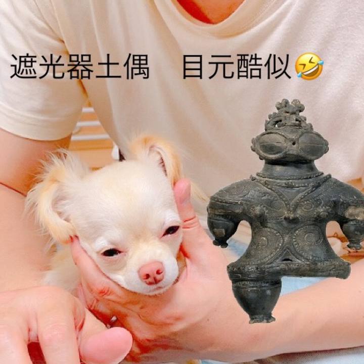 131e3bbc b0b9 4340 bc6d 2872003093b8 1626674271155