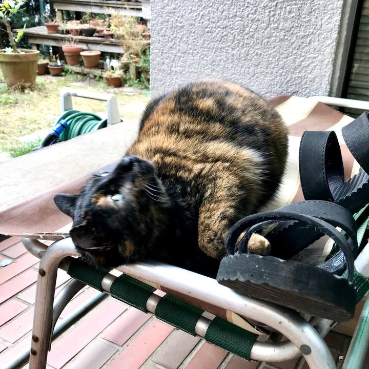 131eaa1f 6866 4683 880c a4d41c5aa348 1515493771575