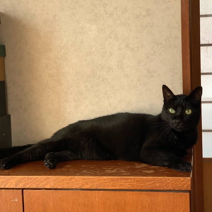 131eb682 3e15 4b36 b32b 1d2ef892b9e3 1599700759324