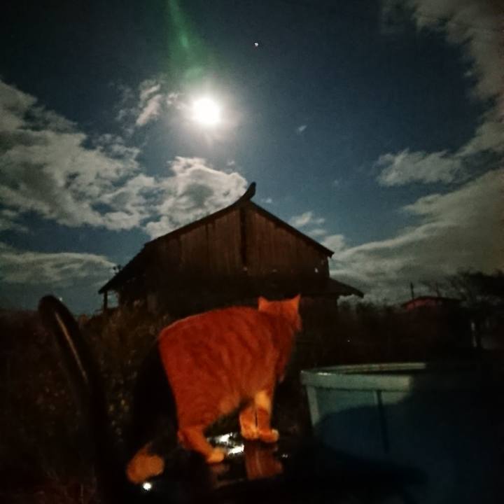 131eb7fe 444a 4b8a a366 ede2de39de54 1604053302101