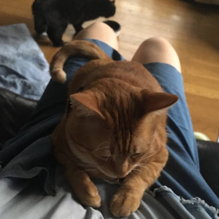 131eed0f c928 430c b608 32374eaa4e5f 1540593553221