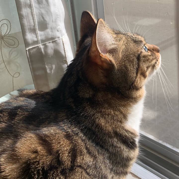 131fca61 1404 45b3 9a91 037ad29511f5 1552180335514