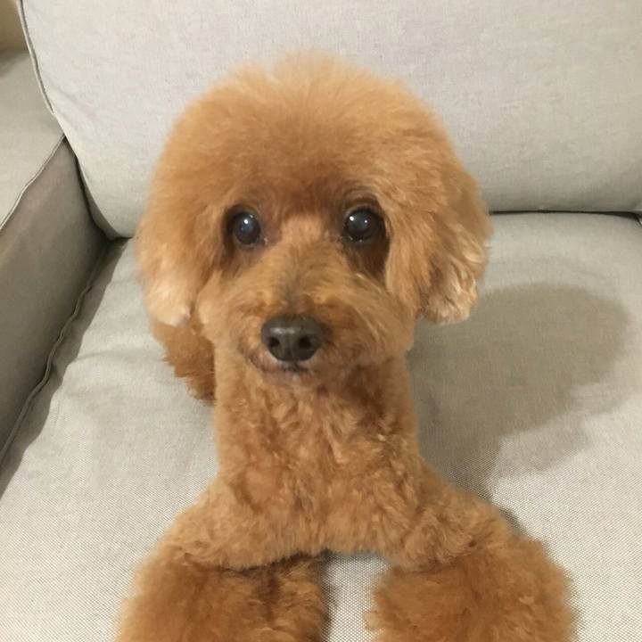 131fe915 bf22 4d39 8d83 5eaba351707d 1508633054102