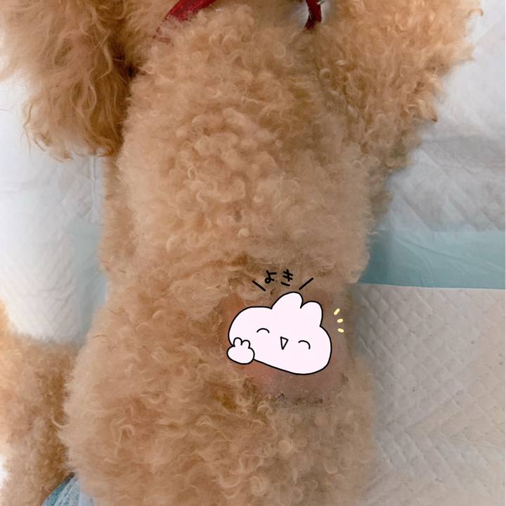 131ff317 ccc4 45d0 bf66 55b6d65a516d 1631411204899