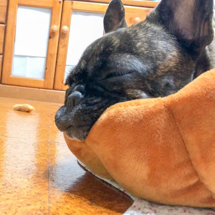 131ff378 462c 434f 84ee 0ea923c5a0e5 1521899211542