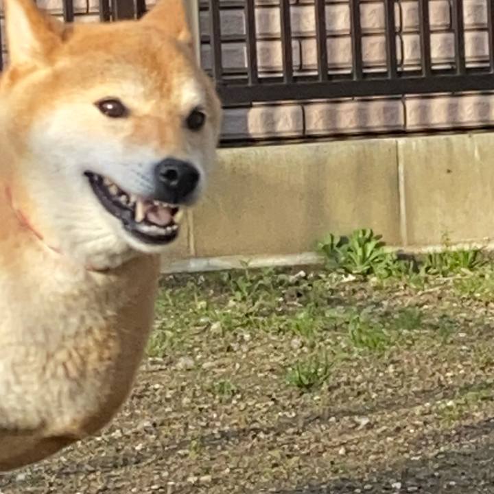 13200965 c54c 40c4 b597 303c3be47b86 1708728343682