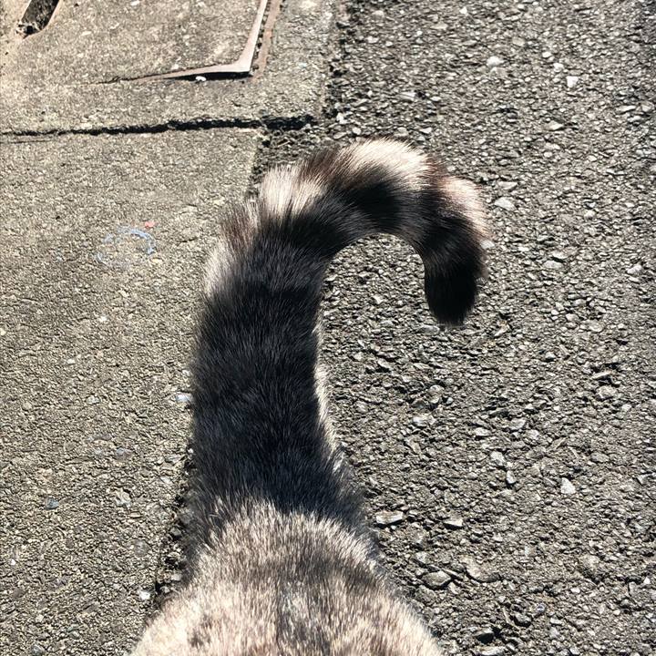 132014ba 37de 485a adfe c421a745e631 1610465882143