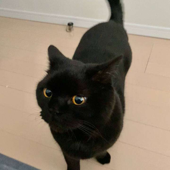 13204846 929b 4b86 ab51 d590728ce05e 1685833219087