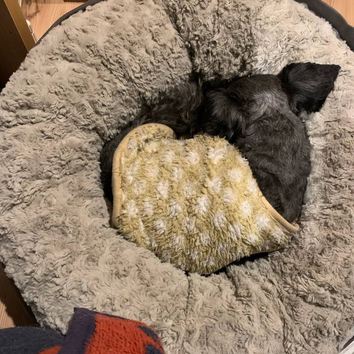 13205360 f77c 41bd a115 17e249883fb8 1613567727442