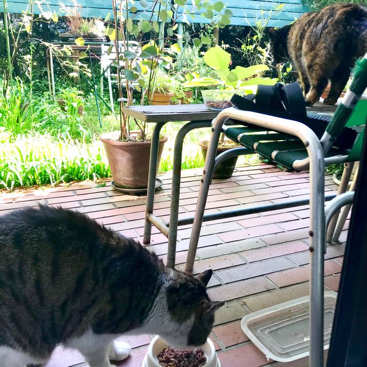 1320893c 3a36 4f68 82f1 837bbaa2cb77 1524041523558