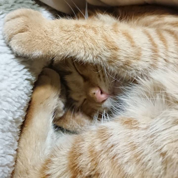 13208a08 4902 4275 b74e 9bc90f5130dd 1650372941522