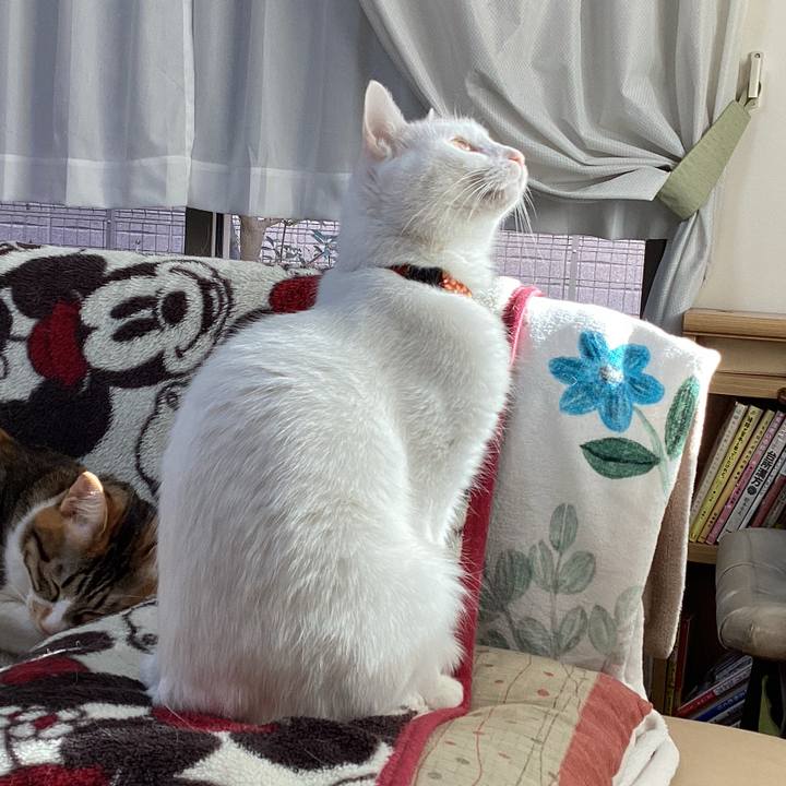 1320bf29 56b7 40a9 ab70 00a7d6bcc0e3 1674625727238