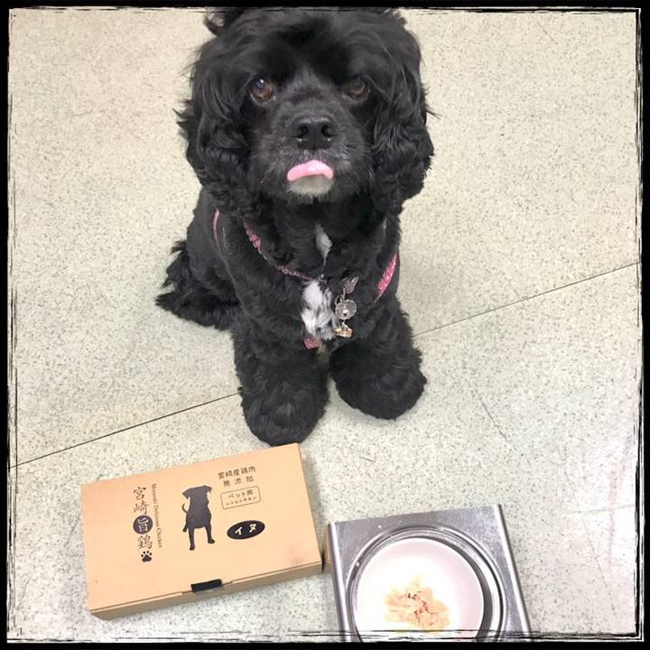 1320d31b 3b8b 4af0 9119 d24ee261a7f7 1528712298291