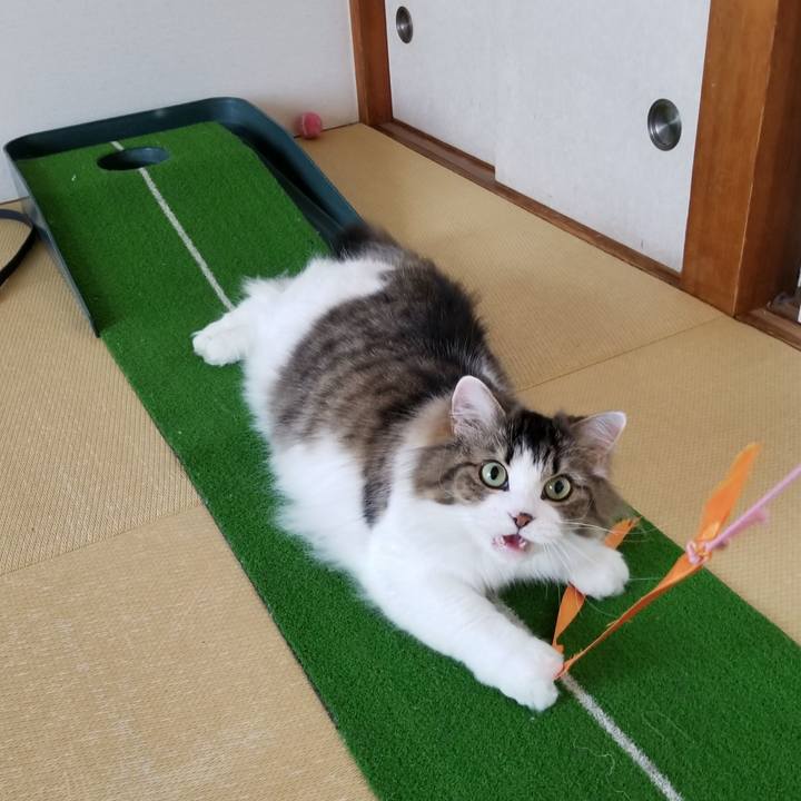 1320f0ca 2b75 4c6a be10 b9a7076ec807 1534637074973