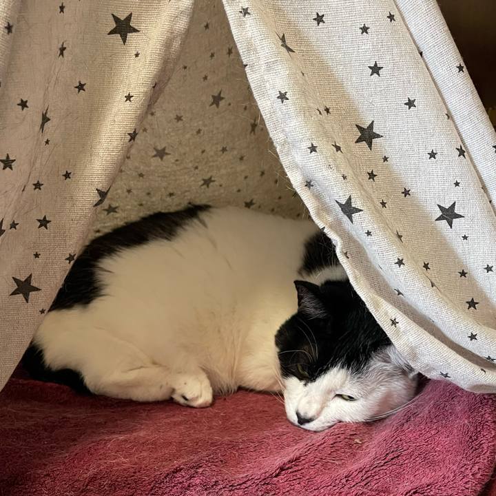 1320fe5a a5ec 492c a1e5 e2cf18155b86 1765148197580