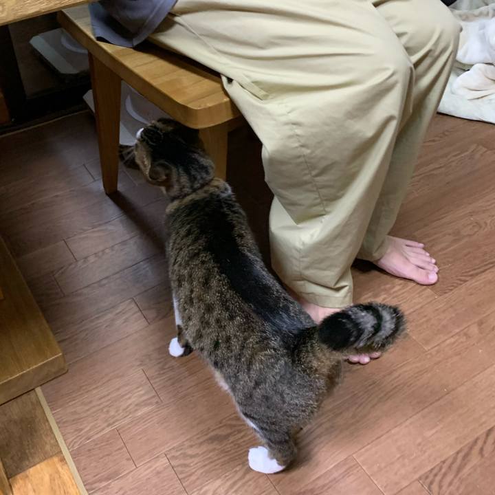 13210037 6306 4a91 b40f 4d7ef94db21a 1633782527341