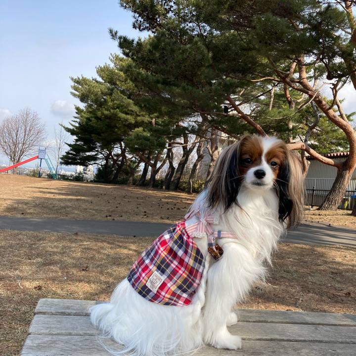 132113ca e87d 4f22 b774 11c0041ddb31 1648191467292